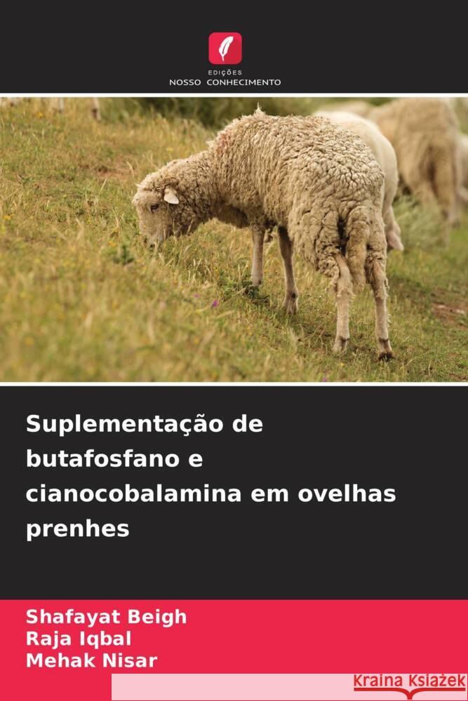 Suplementa??o de butafosfano e cianocobalamina em ovelhas prenhes Shafayat Beigh Raja Iqbal Mehak Nisar 9786208075408 Edicoes Nosso Conhecimento - książka