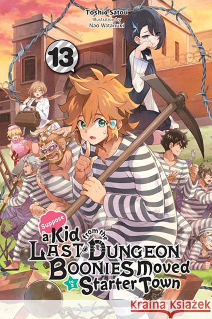 Suppose a Kid from the Last Dungeon Boonies Moved to a Starter Town, Vol. 13 (light novel) Toshio Satou 9781975374822 Little, Brown & Company - książka