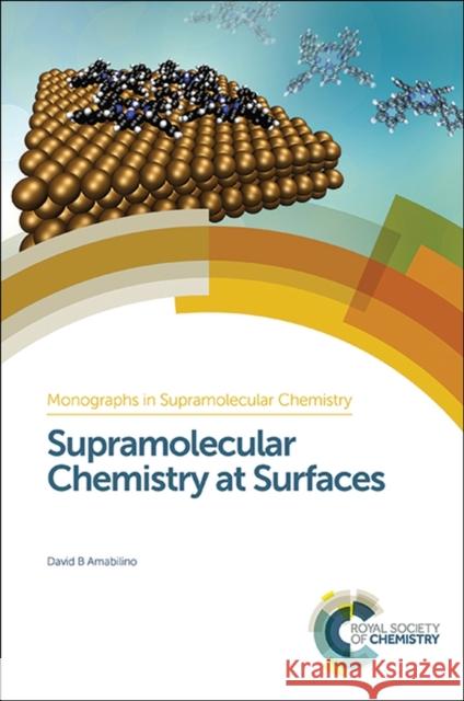 Supramolecular Chemistry at Surfaces Amabilino                                David B. Amabilino Philip Gale 9781849739528 Royal Society of Chemistry - książka