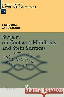 Surgery on Contact 3-Manifolds and Stein Surfaces Burak Ozbagci Andras I. Stipsicz 9783540229445 SPRINGER-VERLAG BERLIN AND HEIDELBERG GMBH &  - książka