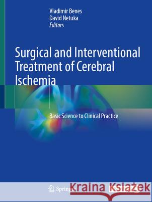 Surgical and Interventional Treatment of Cerebral Ischemia: Basic Science to Clinical Practice Vladimir Benes David Netuka 9783032089335 Springer - książka