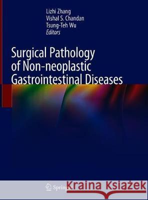 Surgical Pathology of Non-Neoplastic Gastrointestinal Diseases Zhang, Lizhi 9783030155728 Springer - książka