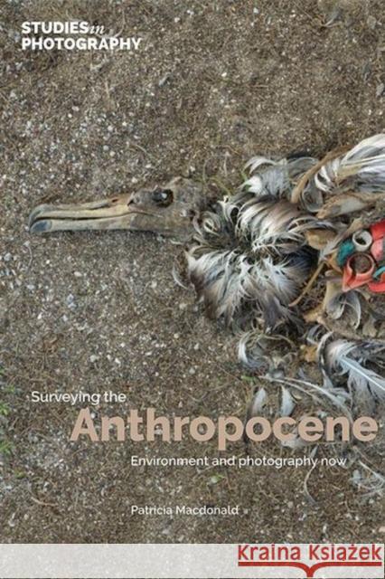 Surveying the Anthropocene:: Environment and Photography Now  9781838382230 Studies in Photography - książka