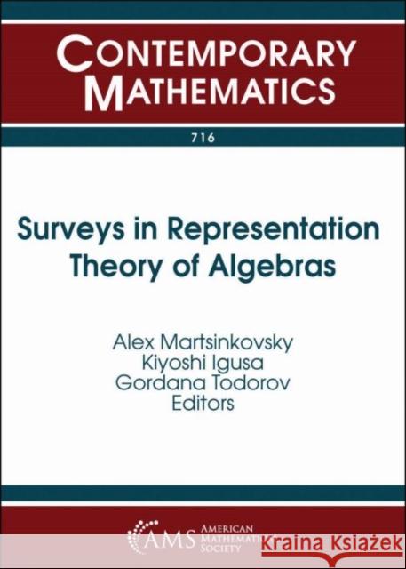 Surveys in Representation Theory of Algebras Alex Martsinkovsky Kiyoshi Igusa Gordana Todorov 9781470436797 American Mathematical Society - książka