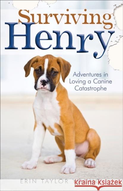 Surviving Henry: Adventures in Loving a Canine Catastrophe Erin Taylor Young 9780800723569 Fleming H. Revell Company - książka