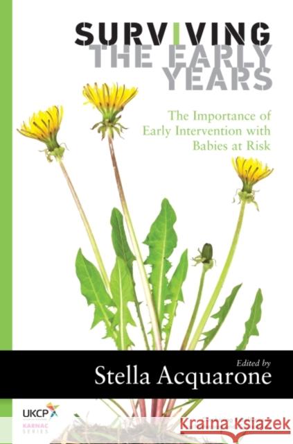 Surviving the Early Years: The Importance of Early Intervention with Babies at Risk Stella Acquarone 9781782202783 Karnac Books - książka