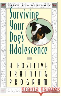 Surviving Your Dog's Adolescence: A Positive Training Program Carol Lea Benjamin Stephen Lennard 9780876057421 Howell Books - książka