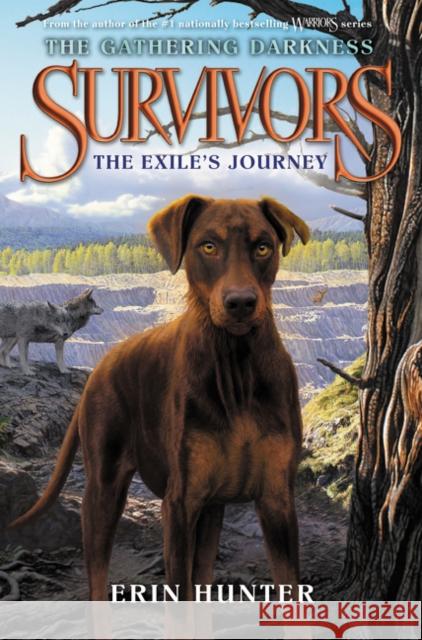 Survivors: The Gathering Darkness: The Exile's Journey Erin Hunter Laszlo Kubinyi Julia Green 9780062343512 HarperCollins - książka