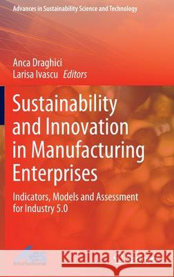 Sustainability and Innovation in Manufacturing Enterprises: Indicators, Models and Assessment for Industry 5.0 Draghici, Anca 9789811673641 Springer Singapore - książka