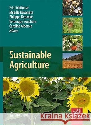 Sustainable Agriculture  9789048126651 SPRINGER - książka