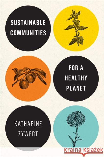 Sustainable Communities for a Healthy Planet Katharine Zywert 9781487548032 University of Toronto Press - książka