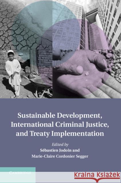 Sustainable Development, International Criminal Justice, and Treaty Implementation Sebastien Jodoin 9781107032934  - książka