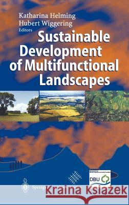 Sustainable Development of Multifunctional Landscapes Katharina Helming Hubert Wiggering 9783540000082 Springer - książka