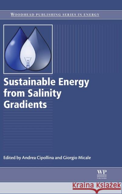 Sustainable Energy from Salinity Gradients Cipollina, Andrea Micale, Giorgio  9780081003121 Elsevier Science - książka