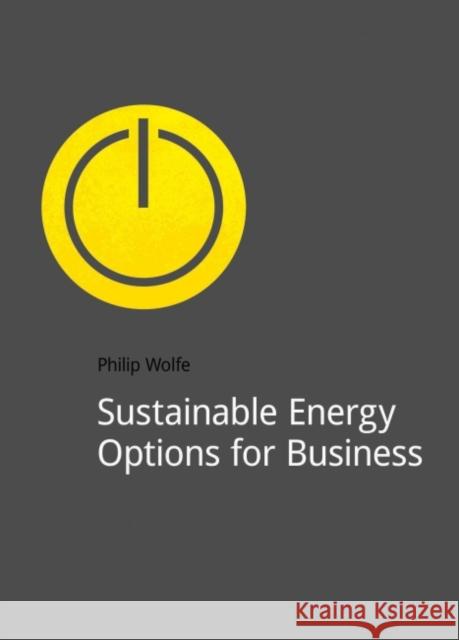 Sustainable Energy Options for Business Philip Wolfe   9781909293427 Do Sustainability - książka