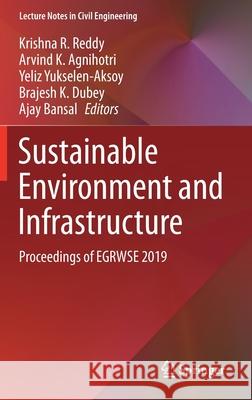 Sustainable Environment and Infrastructure: Proceedings of Egrwse 2019 Reddy, Krishna R. 9783030513535 Springer - książka