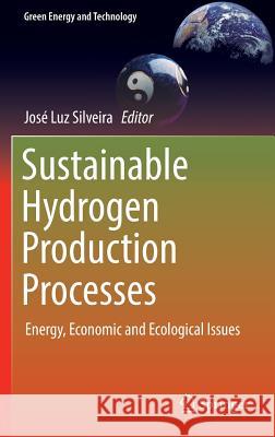 Sustainable Hydrogen Production Processes: Energy, Economic and Ecological Issues Silveira, José Luz 9783319416144 Springer - książka