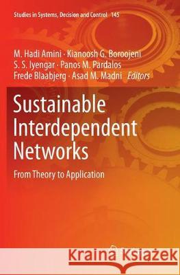 Sustainable Interdependent Networks: From Theory to Application Amini, M. Hadi 9783030089856 Springer - książka