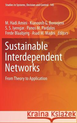 Sustainable Interdependent Networks: From Theory to Application Amini, M. Hadi 9783319744117 Springer - książka