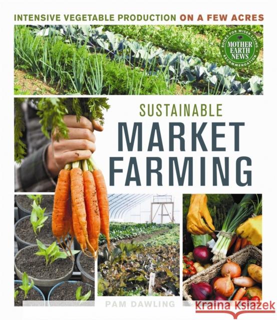 Sustainable Market Farming: Intensive Vegetable Production on a Few Acres Pam Dawling 9780865717169 New Society Publishers - książka