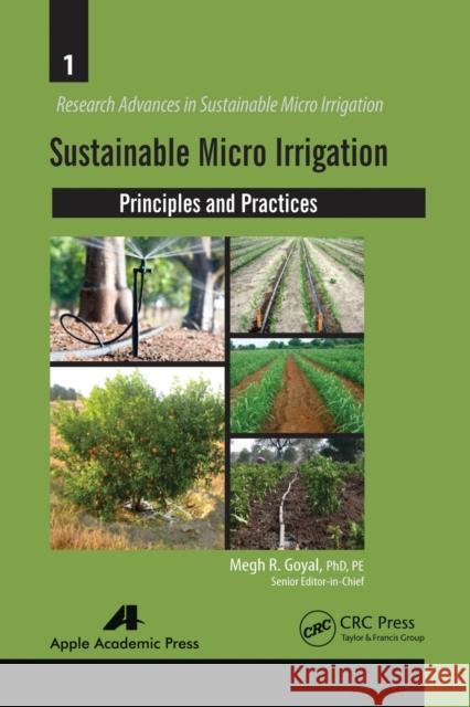 Sustainable Micro Irrigation: Principles and Practices Megh R. Goyal 9781774633373 Apple Academic Press - książka