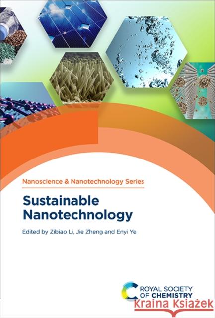 Sustainable Nanotechnology Zibiao Li Jie Zheng Enyi Ye 9781839162558 Royal Society of Chemistry - książka