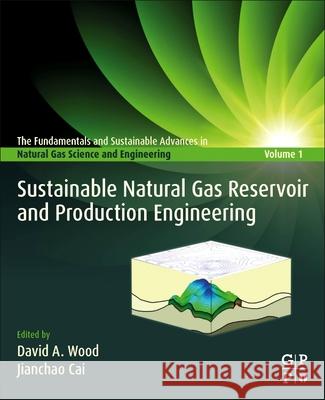 Sustainable Natural Gas Reservoir and Production Engineering David A. Wood Jianchao Cai 9780128244951 Gulf Professional Publishing - książka