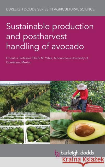 Sustainable Production and Postharvest Handling of Avocado Elhadi M. Yahia 9781801467254 Burleigh Dodds Science Publishing Ltd - książka