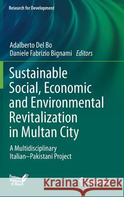 Sustainable Social, Economic and Environmental Revitalization in Multan City: A Multidisciplinary Italian-Pakistani Project Del Bo, Adalberto 9783319021164 Springer - książka