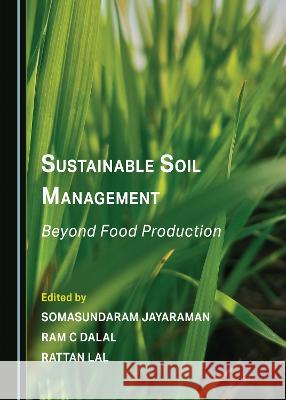 Sustainable Soil Management: Beyond Food Production Somasundaram Jayaraman Ram C Dalal Rattan Lal 9781527502048 Cambridge Scholars Publishing - książka