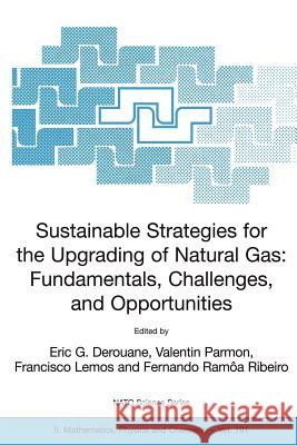 Sustainable Strategies for the Upgrading of Natural Gas: Fundamentals, Challenges, and Opportunities: Proceedings of the NATO Advanced Study Institute Derouane, E. G. 9781402033094 Springer - książka