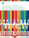 Sustainable Transport, Sustainable Development United Nations Department for Economic and Social Affairs 9789212591919 United Nations