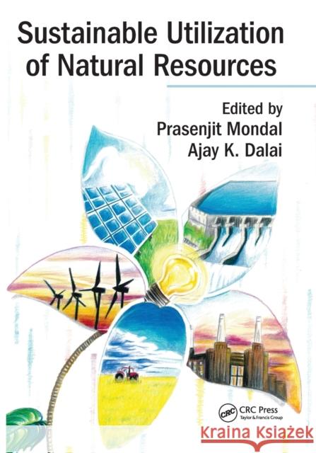 Sustainable Utilization of Natural Resources Prasenjit Mondal Ajay K. Dalai 9780367573829 CRC Press - książka