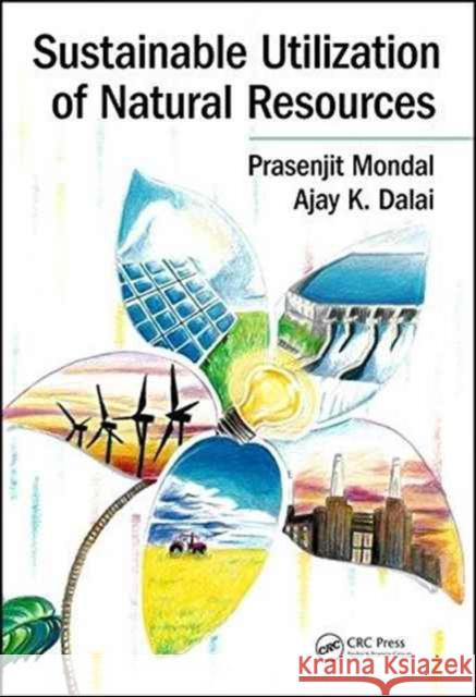 Sustainable Utilization of Natural Resources Prasenjit Mondal Ajay K. Dalai 9781498761833 CRC Press - książka