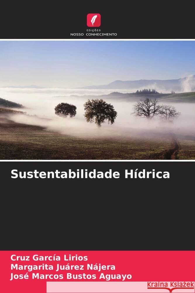 Sustentabilidade Hídrica García Lirios, Cruz, Juárez Nájera, Margarita, Bustos Aguayo, José Marcos 9786204994468 Edições Nosso Conhecimento - książka