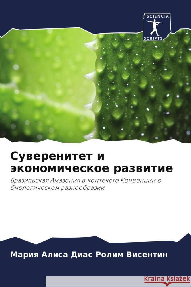 Suwerenitet i äkonomicheskoe razwitie Dias Rolim Visentin, Mariq Alisa 9786206301547 Sciencia Scripts - książka