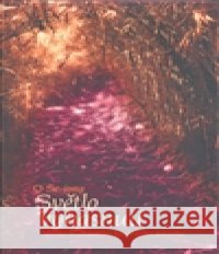 Světlo vyhasnutí O Se-jong 9788086685847 DharmaGaia - książka