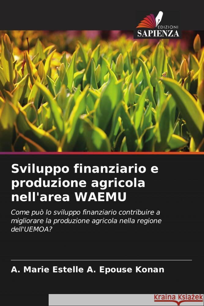 Sviluppo finanziario e produzione agricola nell'area WAEMU A. Epouse Konan, A. Marie Estelle 9786204397795 Edizioni Sapienza - książka