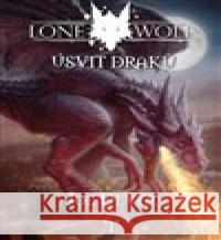 Úsvit draků Pascal Quidault 9788088501053 Mytago - książka