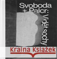 Svoboda + Palcr: Vidět sochy Katarína Mašterová 9788088283225 Artefactum - książka
