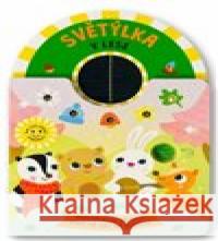 Světýlka v lese  9788025639856 Svojtka & Co. - książka