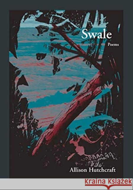 Swale Allison Hutchcraft 9781936970681 New Issues Poetry and Prose - książka