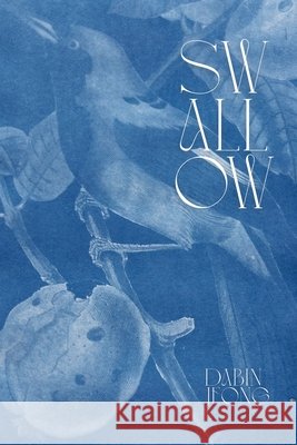 Swallow Jeong, Dabin 9798349464218 Small Harbor Publishing - książka