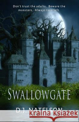 Swallowgate D. J. Natelson 9781494472740 Createspace - książka