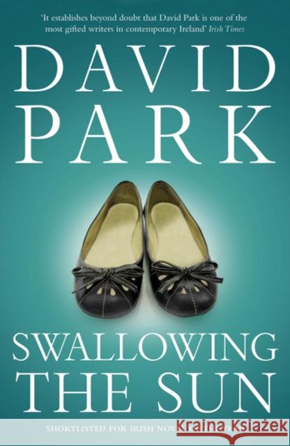 Swallowing the Sun David Park 9780747599272 Bloomsbury Publishing PLC - książka