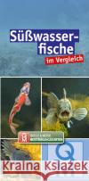 Süßwasserfische im Vergleich  9783494018935 Quelle & Meyer