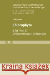 Süßwasserflora Von Mitteleuropa, Bd. 14: Chlorophyta VI: Oedogoniophyceae: Oedogoniales Mrozinska, Teresa 9783827421395 Spektrum Akademischer Verlag - książka