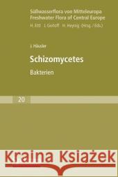 Süßwasserflora Von Mitteleuropa, Bd. 20: Schizomycetes Häusler, Jiri 9783827421418 Spektrum Akademischer Verlag - książka