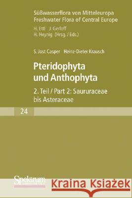 Süßwasserflora Von Mitteleuropa: Pteridophyta Und Anthophyta Teil 2 Büdel, Burkhard 9783827420558 Spektrum Akademischer Verlag - książka