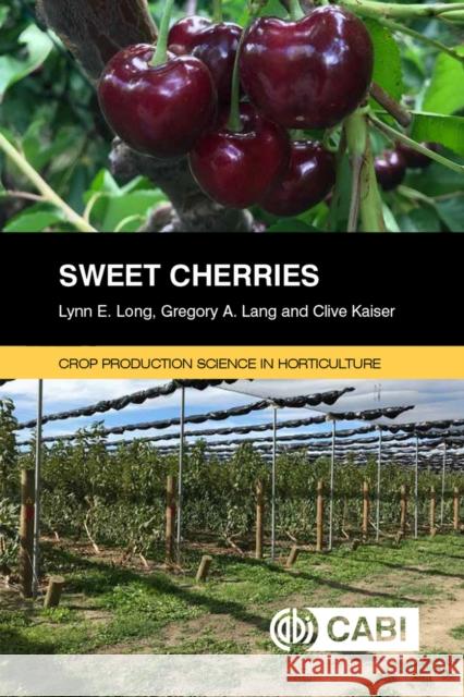Sweet Cherries Lynn Long 9781786398284 Cabi - książka